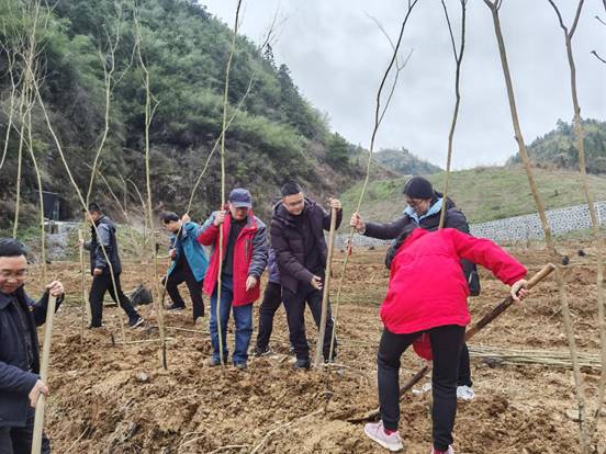 说明: IMG_20210312_094252